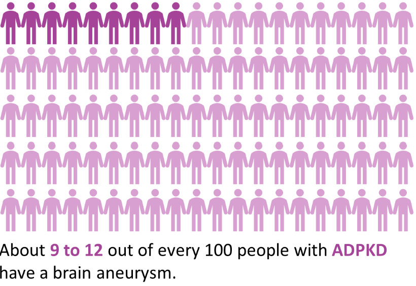 A diagram showing how common brain aneurysms are in people with ADPKD (about 9—12 in every 100 people) versus people without ADPKD (about 2—3 in every 100 people).