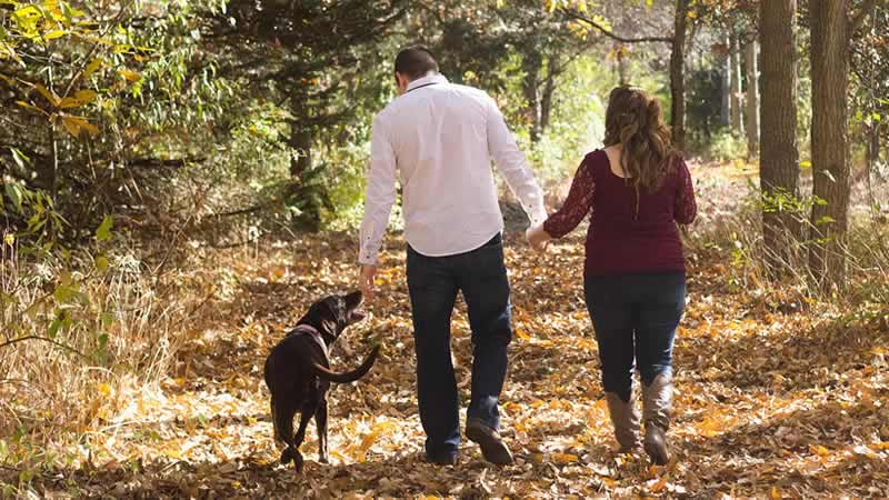 Woman, man and a dog walking in the forest