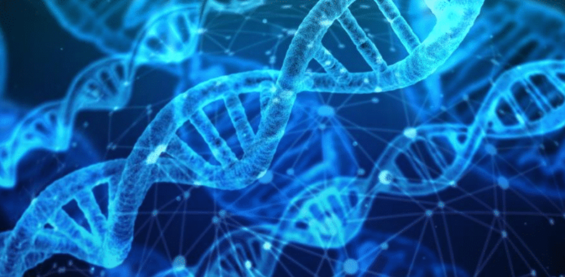 An illustration showing strands of DNA twisted together in a helix shape.