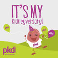 It's My Kidneyversary FB Insta
