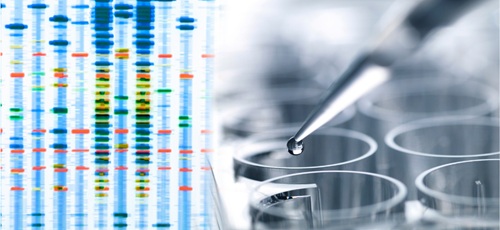 On the right a pipette secretes a drop of liquid into a petri dish, on the left a photo of DNA test results with the vertical stripes and horizontal multicoloured bars