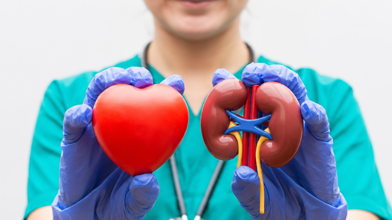 New Government framework highlights the vital link between heart and kidney health
